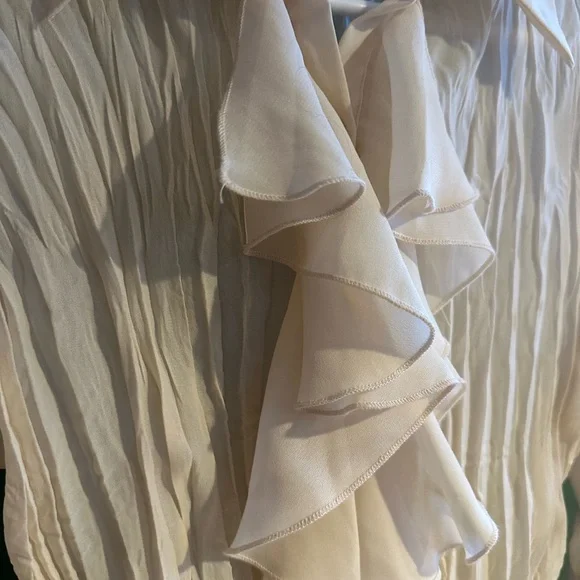 Vintage Ruffle Blouse - Picture 5 of 7